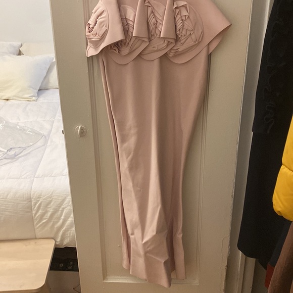 COPY - Le Petite Robe di Chiara Boni Rose Peplum Gown - Picture 7 of 12